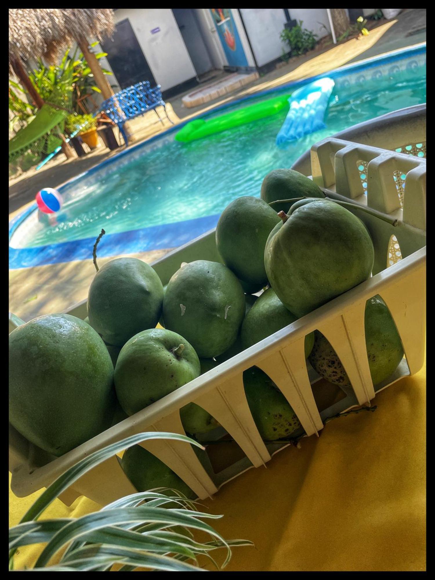 Managua Hotel Oasis מראה חיצוני תמונה
